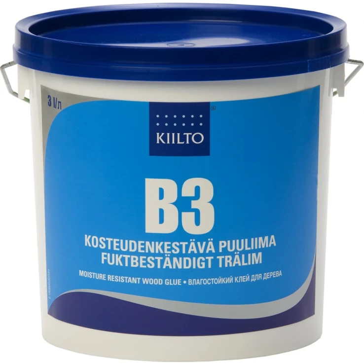 T1031 003 kuva